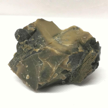 Opalisiertes Versteinertes Holz